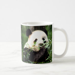 Pandamugg Kaffemugg