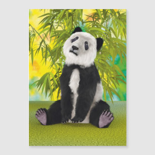 Pandanbjörn unge