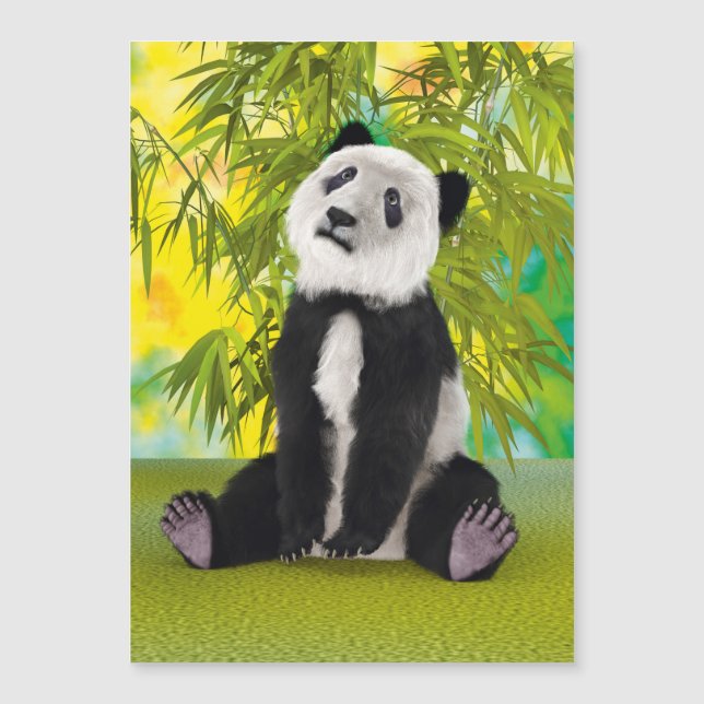 Pandanbjörn unge (Framsida)