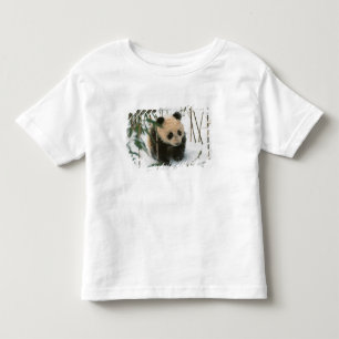 Pandangunge i snö, Wolong, Sichuan, Kina T-shirt