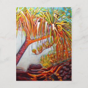 Pandanus Parasol Vykort