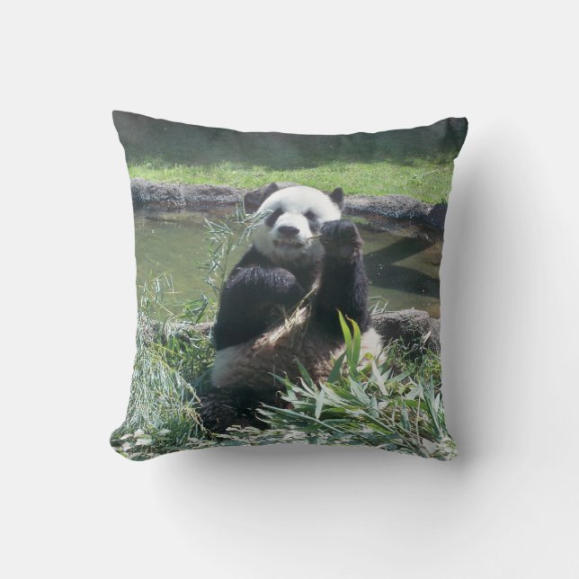 Pandapillen Kudde (Framsida)