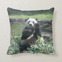 Pandapillen Kudde