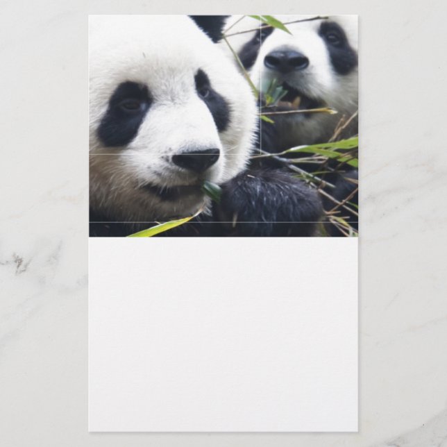 Pandarävar Brevpapper (Framsida)