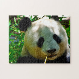 Pandarävar. Pussel