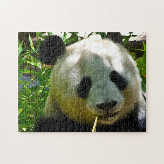 Pandarävar. Pussel (Horisontell)