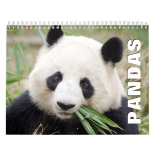 Pandas 2022 Wall Calendar Kalender