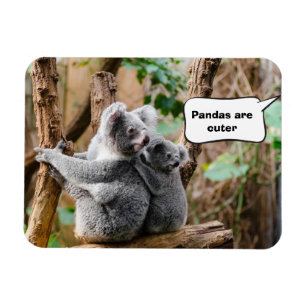 Pandas eller Koalas - som är mer gullig? Magnet