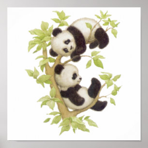 Pandas Plutering i Träd Poster