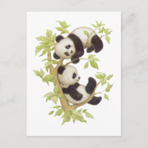Pandas Plutering i Träd Vykort
