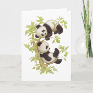 Pandas som leker i ett träd kort