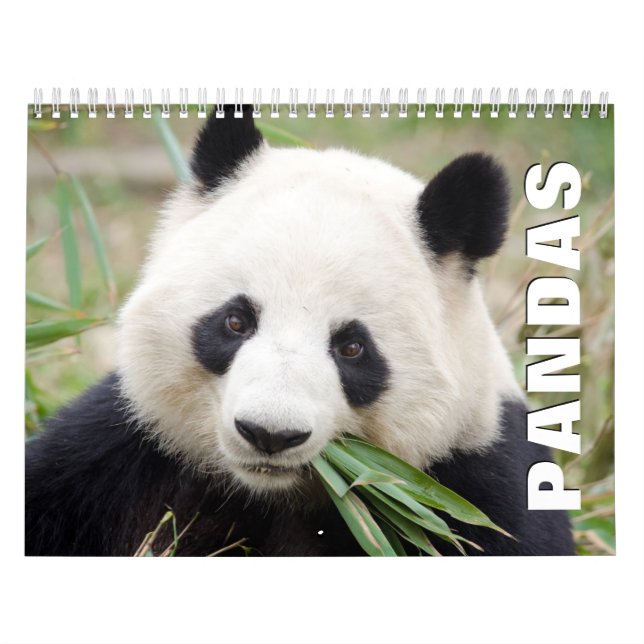 Pandas Wall Calendar Kalender (Omslag)