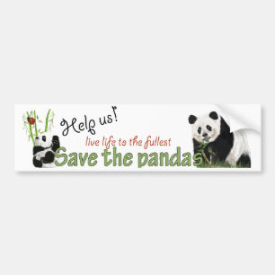 pandasbildekal bildekal