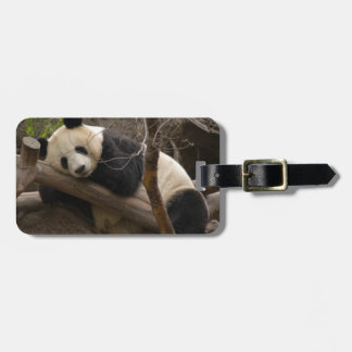 PandaSD003 Bagagebricka