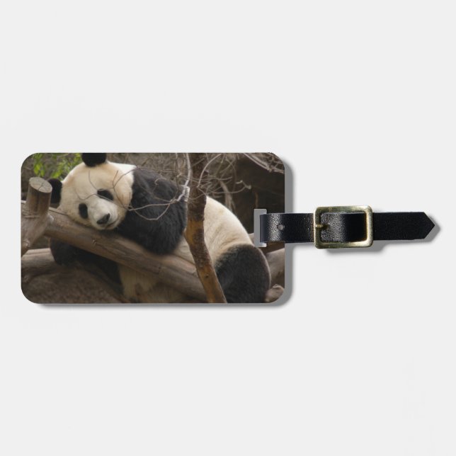 PandaSD003 Bagagebricka (Horisontell Framsida)