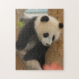 PandaSD009 Pussel