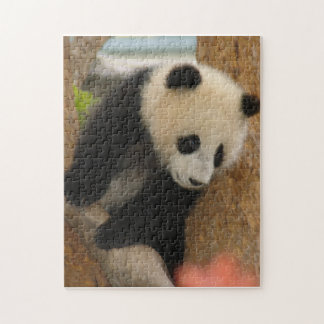 PandaSD009 Pussel