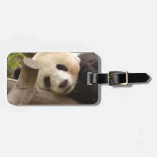 PandaSD010 Bagagebricka