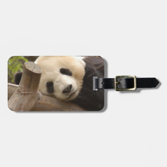 PandaSD010 Bagagebricka (Horisontell Framsida)