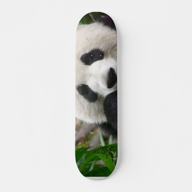 PandaSkateboard Old School Skateboard Bräda 21,6 Cm (Framsida)