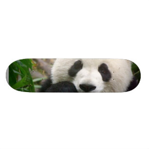 PandaSkateboard Old School Skateboard Bräda 21,6 Cm