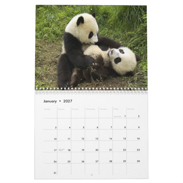 Pandasväggkalender Kalender (Jan 2027)