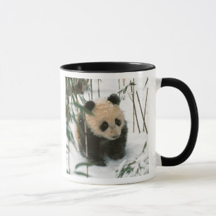 Pandaunge i snö, Wolong, Sichuan, Kina Mugg