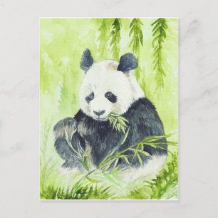 Pandavykort Vykort