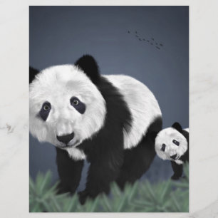 pandbjörn söt gullig djur svart vit snäll