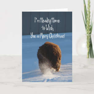 Pandi Head Home (Hem) Önskar dig en God jul Helgkort
