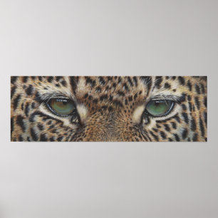 Pandleopard ögon poster