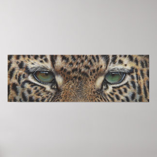 Pandleopard ögon poster