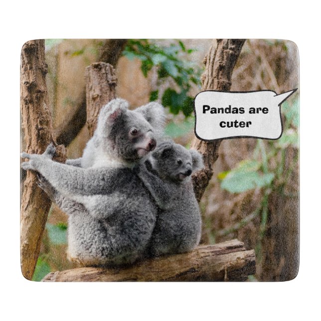 Pandor eller Koalas - Vilken är cuter? (Framsidan)