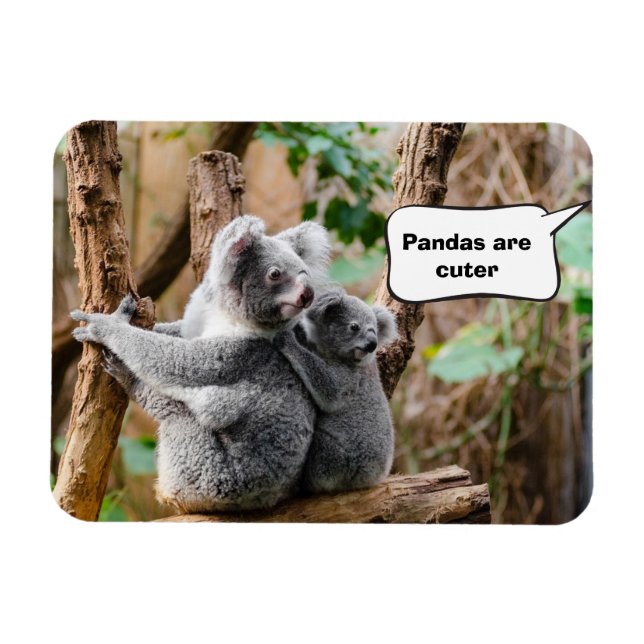 Pandor eller Koalas - Vilken är cuter? Magnet (Horisontell)