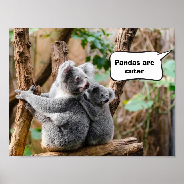 Pandor eller Koalas - Vilken är cuter? Poster (Framsidan)