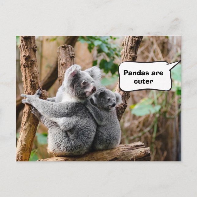 Pandor eller Koalas - Vilken är cuter? Vykort (Framsida)