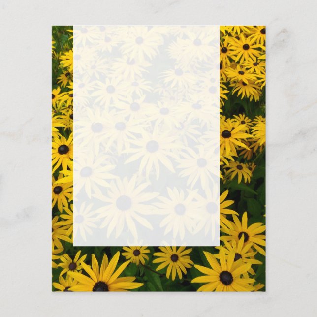 Panel 0107 - Sedum Autumn Joy (B&W) Flygblad (Framsidan)