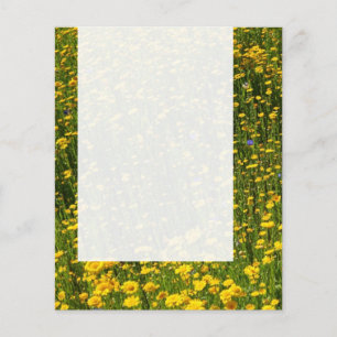 Panel 0114 - Fält i Gultens Daisy Flygblad
