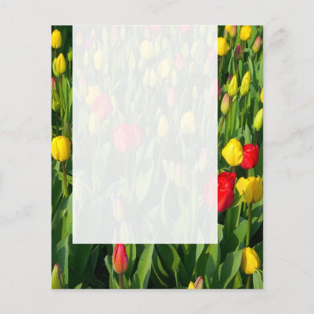 Panel 021 - Tulips Flygblad (Framsidan)