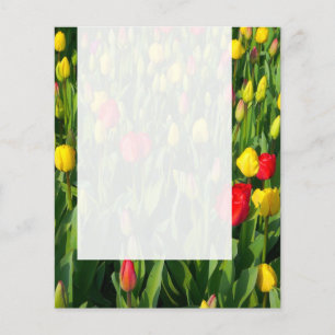 Panel 021 - Tulips Flygblad