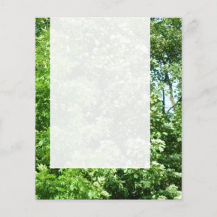 Panel 024 - Summer Breeze Flygblad