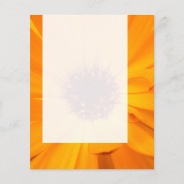 Panel 026 - Orange Sammetblomma Flygblad (Framsidan)