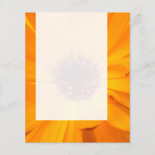 Panel 026 - Orange Sammetblomma Flygblad