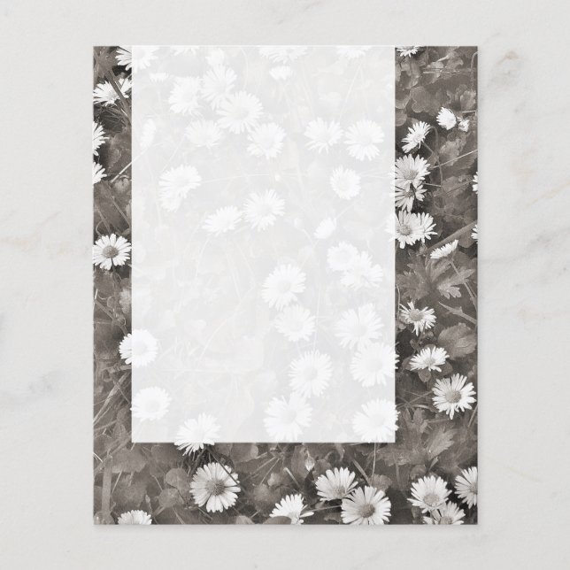 Panel 036 - Ancient of Daisys Flygblad (Framsidan)