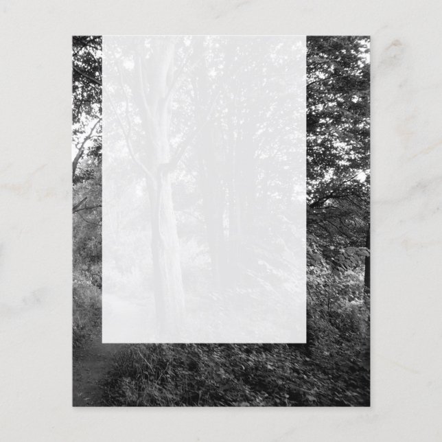 Panelen 013 - I Skogen Flygblad (Framsidan)