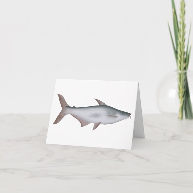 Pangas Catfish Anteckningskort (Framsida)