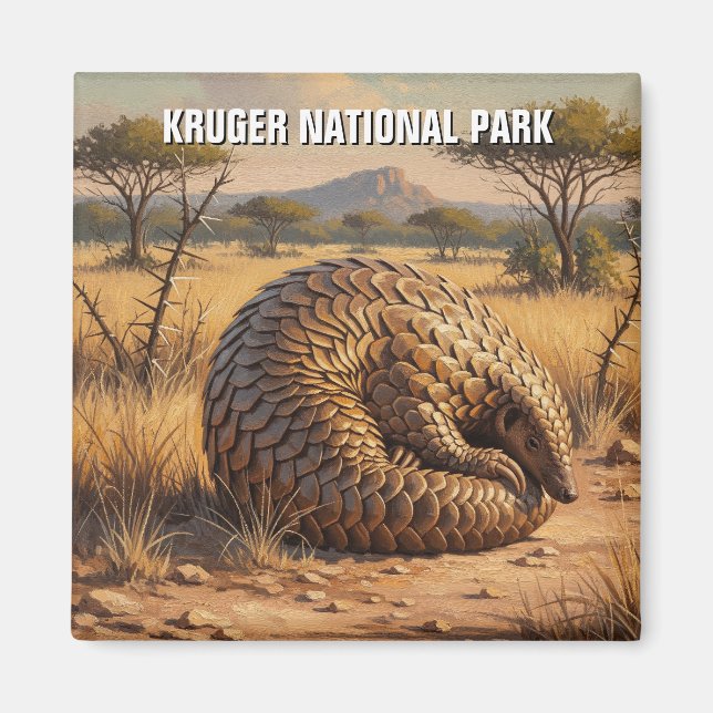Pangolin i Afrikan i nationalparken Kruger Magnet (Framsidan)
