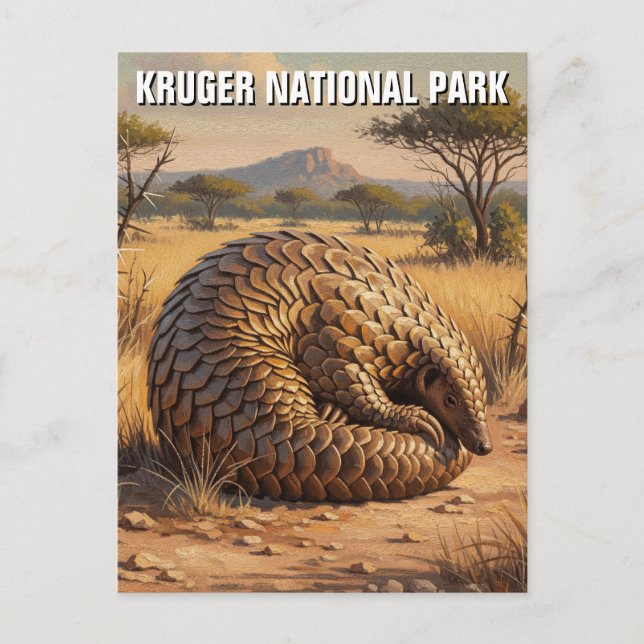 Pangolin i Afrikan i nationalparken Kruger Vykort (Framsida)
