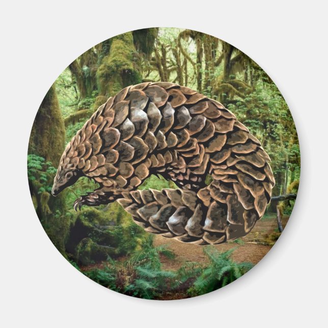 Pangolin Magnet (Framsidan)