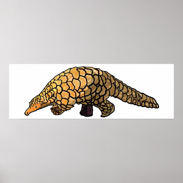 Pangolin Poster (Framsidan)